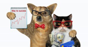 A dog and a cat wearing glasses while holding up money and credit cards