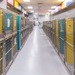 a pet kennel facility hallway