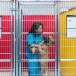 a pet handler hugging a Belgian Shepherd-Malinois in a kennel