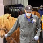 a male trainer in a grey jumpsuit leads a brown hairy horse out of a facility followed by a man in an orange reflective vest