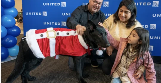A United captain adopted a puppy who was abandoned at a San Francisco airport, giving him a new home