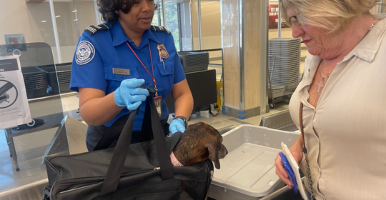 What to know about the TSA process if you’re flying with pets