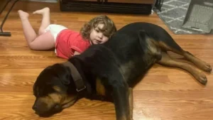 A little girl laying on a wood floor with her dog